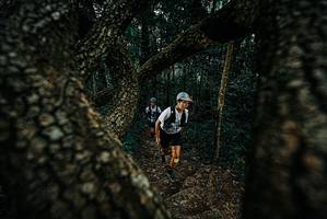 BIB: 
                            <button type="button" onclick="openModal(25687576)" class="btn btn-primary btn-sm float-right btn-popup" data-toggle="modal" data-target=".modal-high-quality">
                        <i class="fas fa-shopping-cart"></i> Add to Cart
                    </button>
                                            <button type="button" onclick="isThisMe(25687576, true)" class="btn btn-success btn-sm float-right btn-popup btn-isme hidden" data-toggle="tooltip" data-placement="bottom" title="นี่คือรูปของคุณใช่ไหม คลิกที่นี่เพื่อเอาเข้าอัลบั้ม">
                        <i class="fas fa-plus"></i> Add to album
                    </button>
                    <button type="button" onclick="isThisMe(25687576, false)" class="btn btn-warning btn-sm float-right btn-popup btn-isnotme hidden">
                        <i class="fas fa-ban"></i> Remove from album
                    </button>